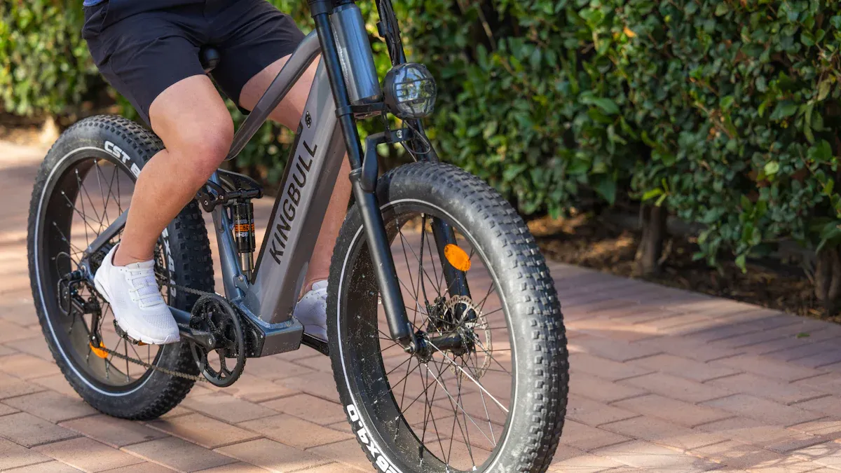 Vorteile von Elektro-Bikes mit Riemenantrieb