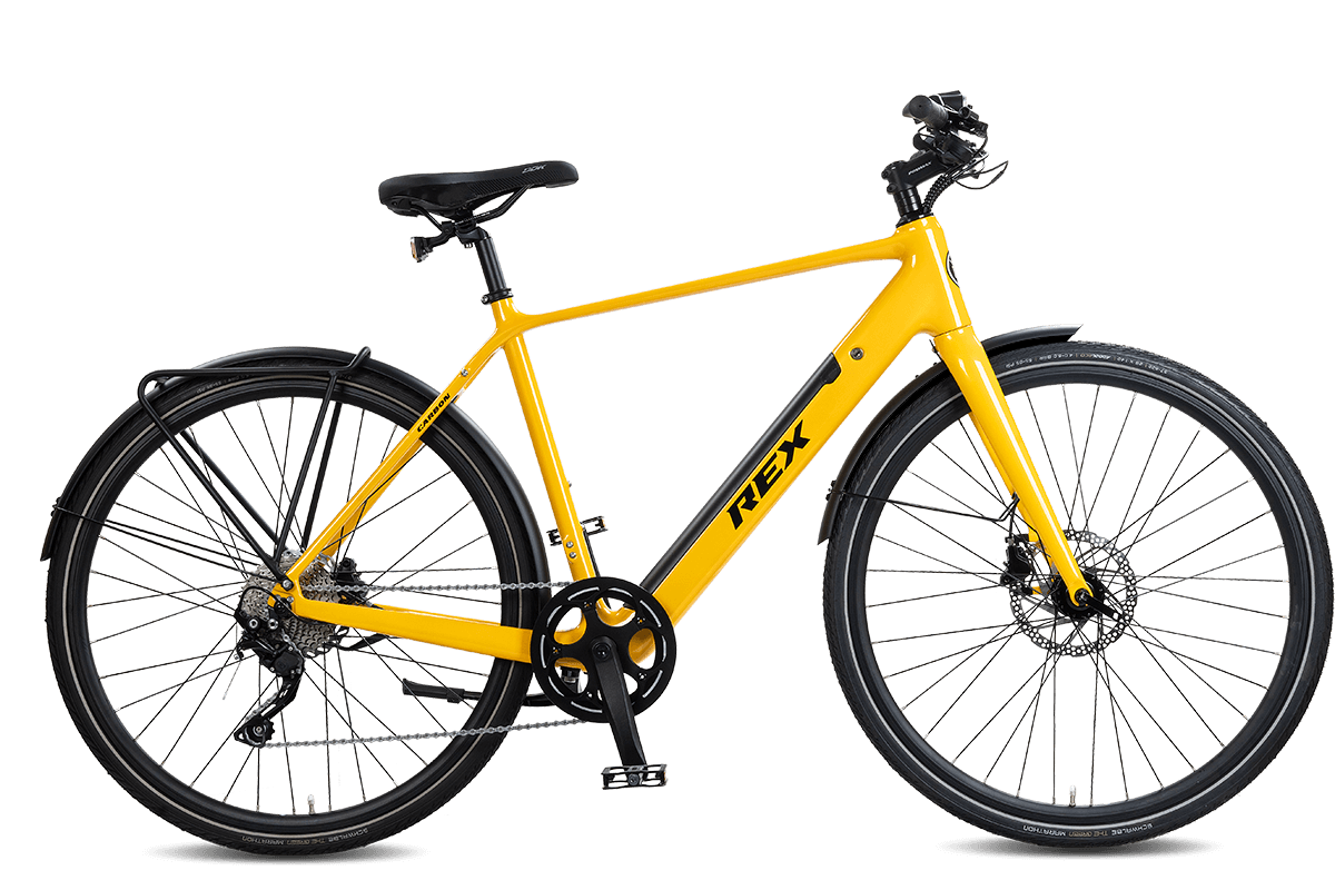 Warum ein Carbonrahmen mit 10-Gang Schaltung das perfekte E-Bike ausmacht