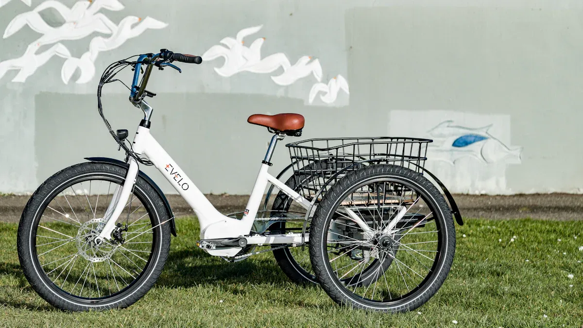 E bike als dreirad: Optionen