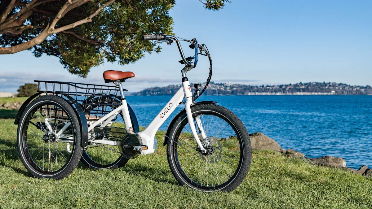 Die besten dreiräder e bike im Jahr 2025 mit Bewertungen, Vergleichen und Kaufberatung