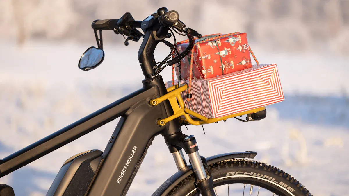 Montagesysteme für Fahrradtaschen am Gepäckträger