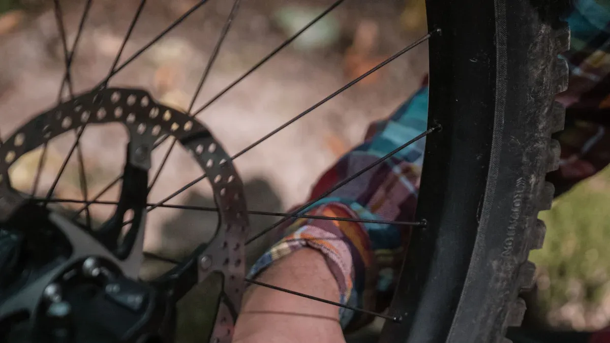 Fahrradpflege im Frühling
