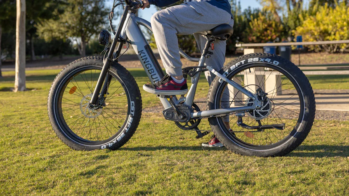 Haibike Trekking 9 Features