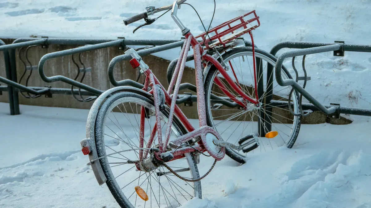 Korrekte Lagerung und Überwinterung