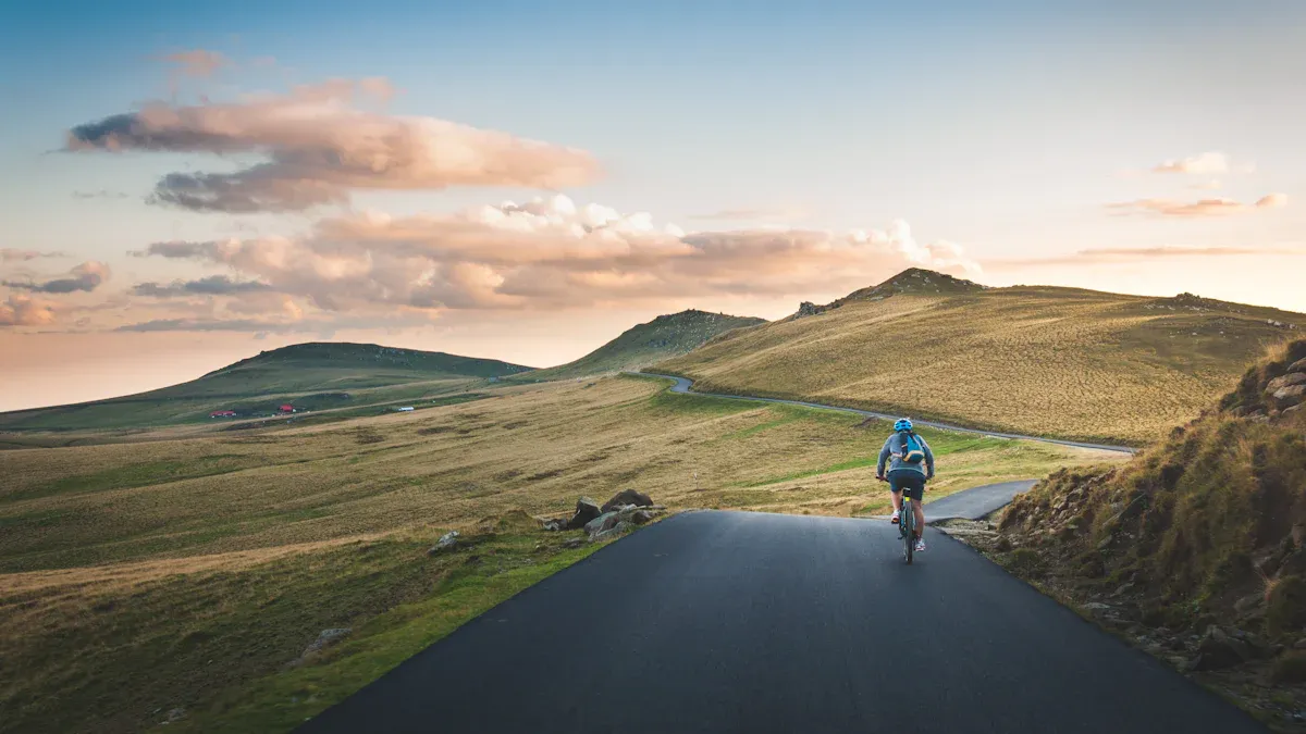 Trekkingrad E-Bike Vorteile