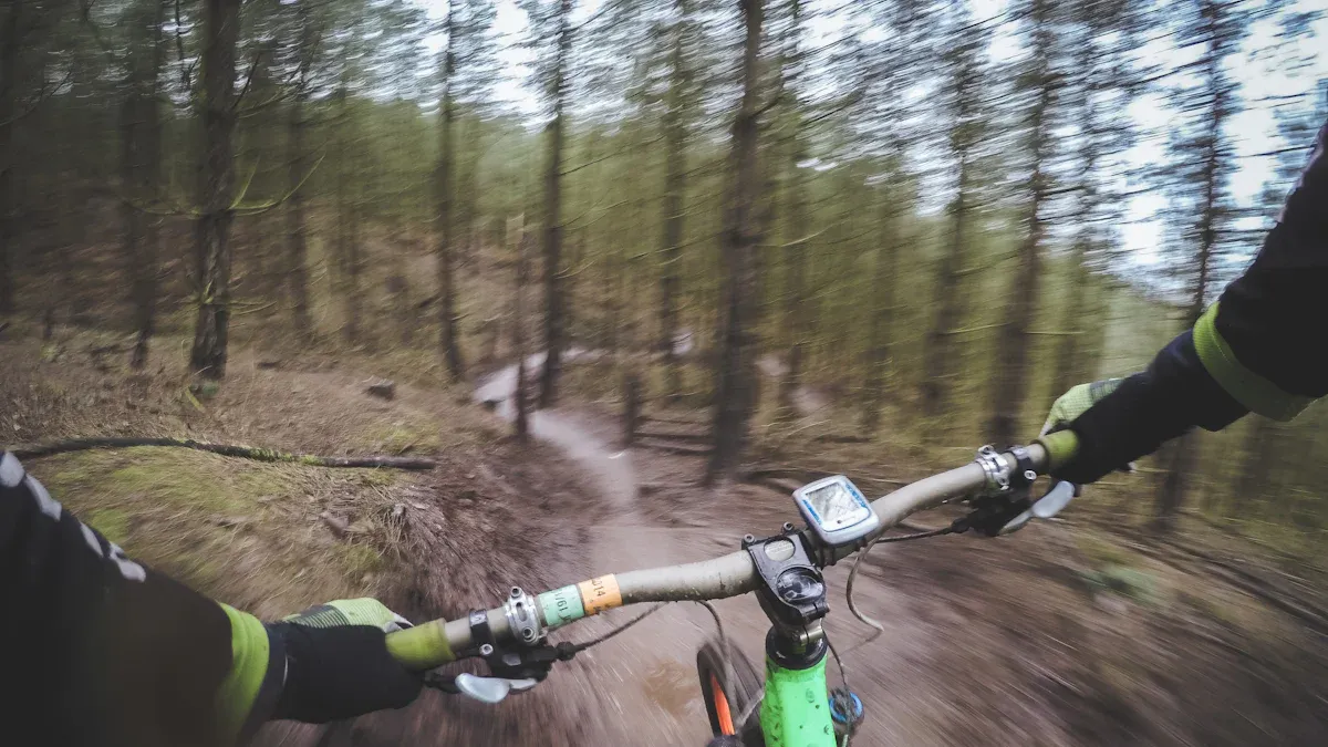 Beerfelden Bikepark: Trails, Einrichtungen und E-Bike-Erlebnis