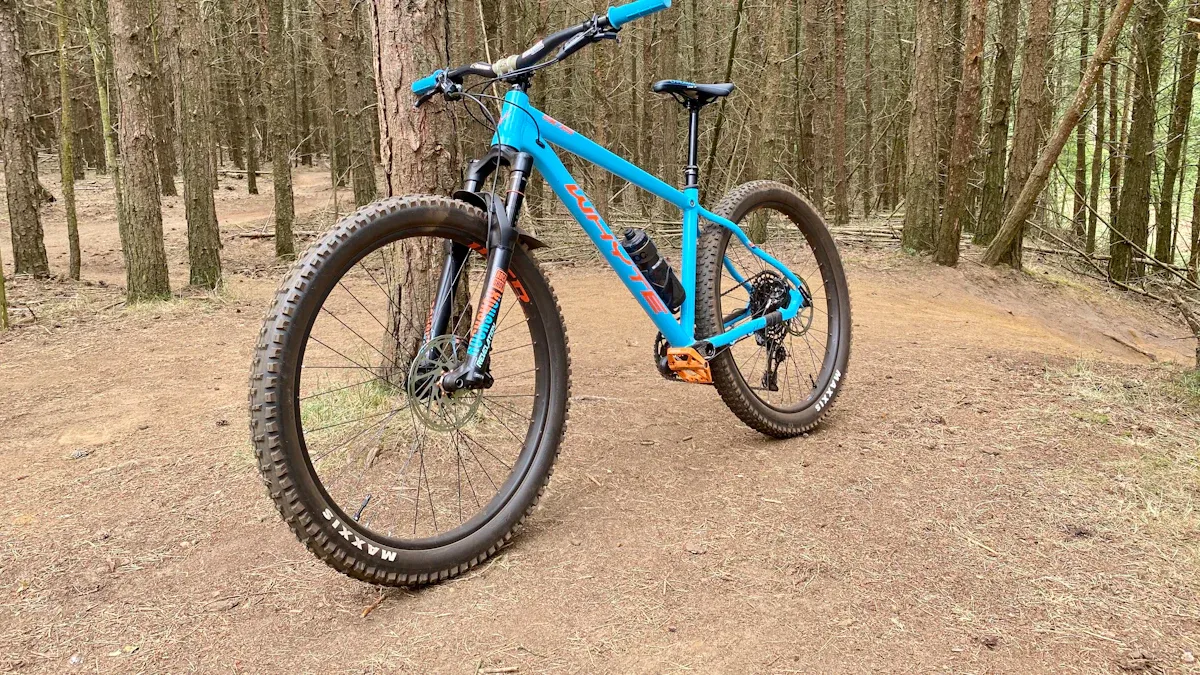 e mountainbike Überblick