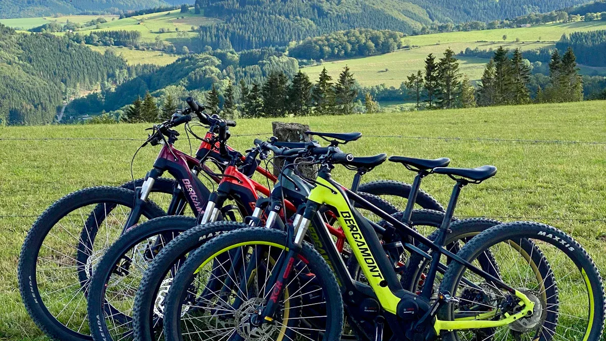 Die vollständige Anleitung zu Bergamont E-Bikes: Modelle, Funktionen und Leistungsbewertung
