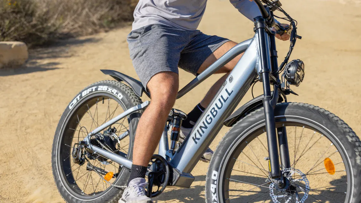 Haibike Trekking 10.0 technische Spezifikationen und reale Leistung