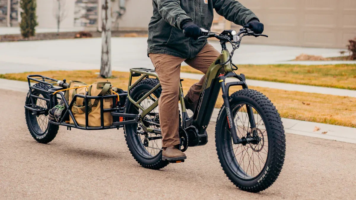 Anhänger für e bike Typen