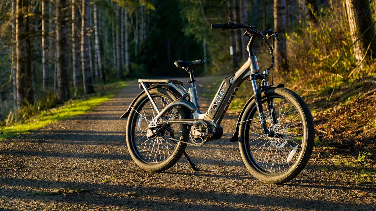 Sicherheitsmaßnahmen für E-Bikes und Pedelecs in Deutschland