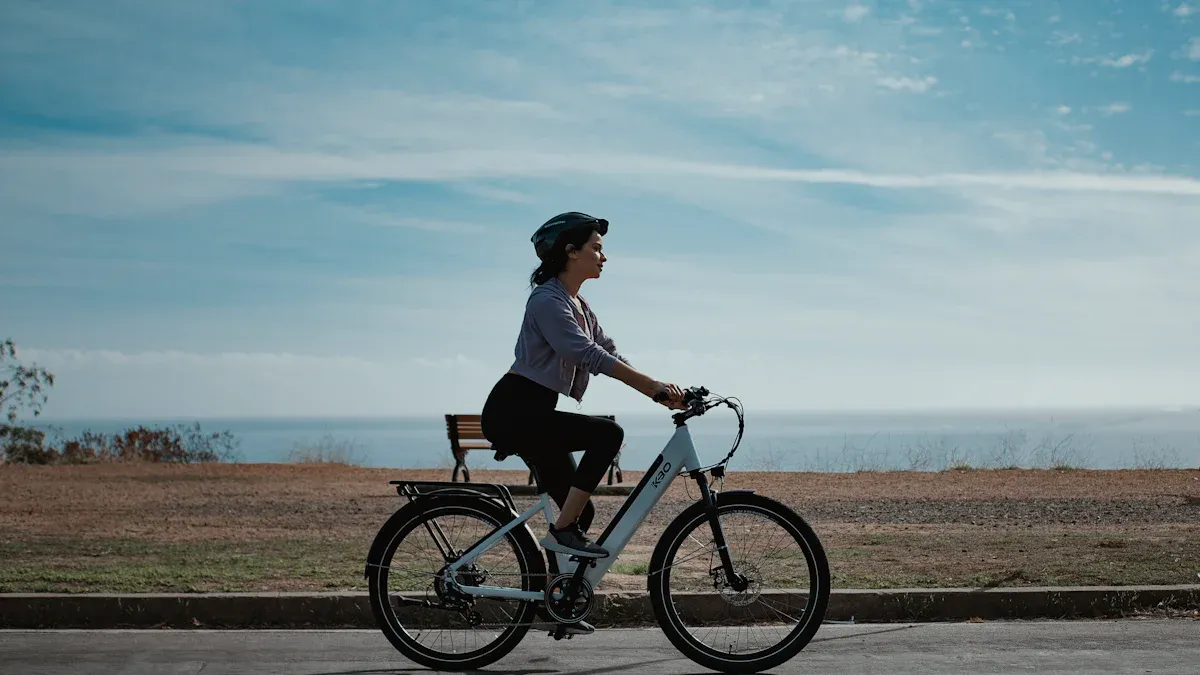 Einsatzzweck und Typ des E-Bikes