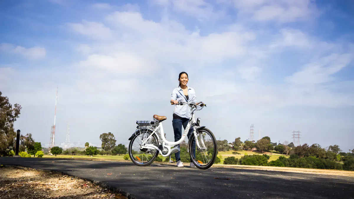 REX E-Bike Vorteile