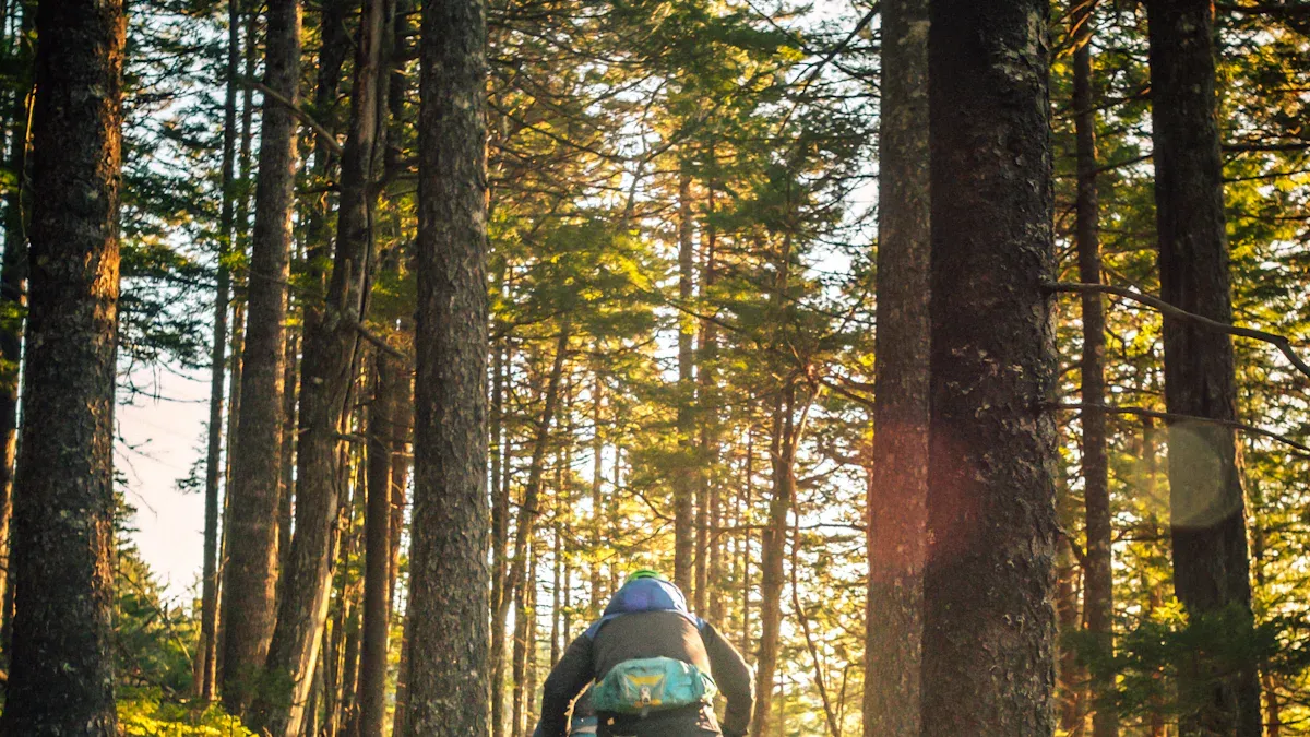 Haibike AllMTN 7 Review: Is It a Better Option Than the AllTrail 4 for Mountain Biking?