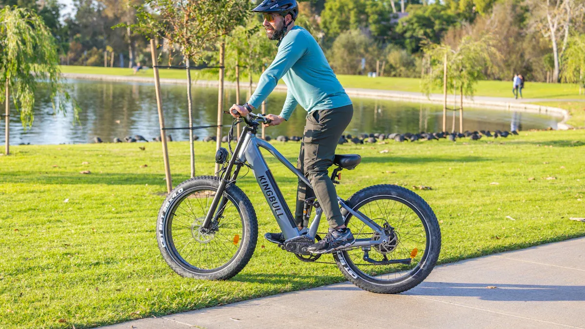 Kettler E-Bikes vs. Kalkhoff: Which German Electric Bicycle Brand Offers Better Value?