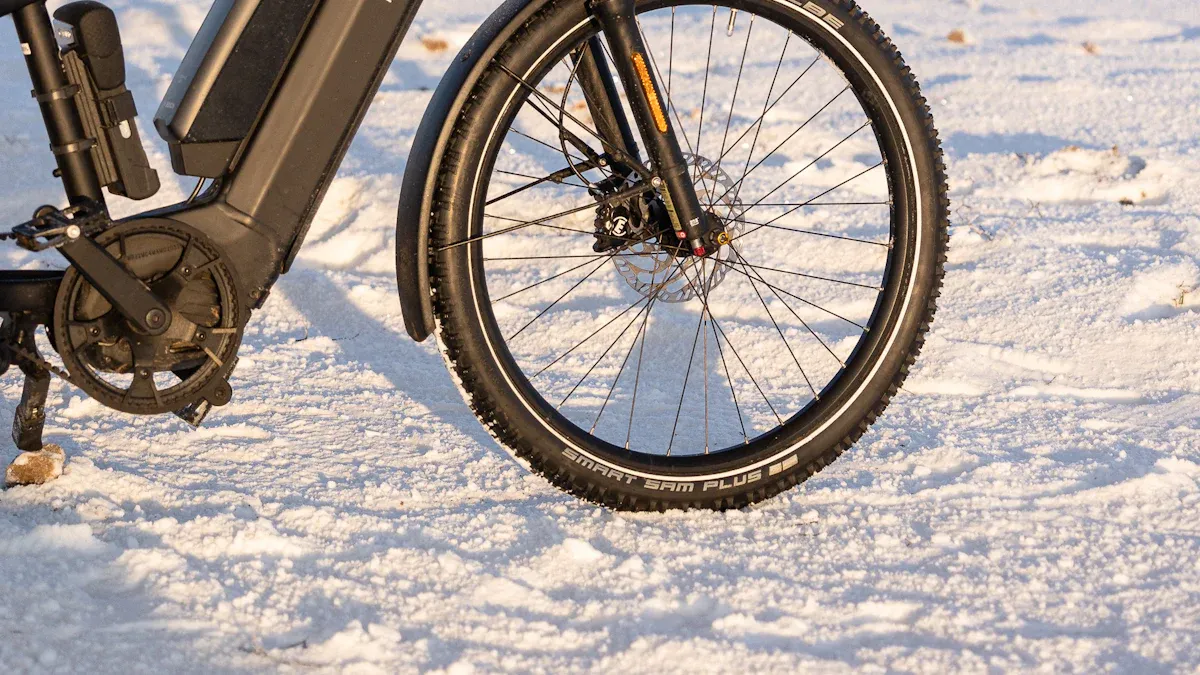 Klassifikation von E-Bikes und Pedelecs in Deutschland
