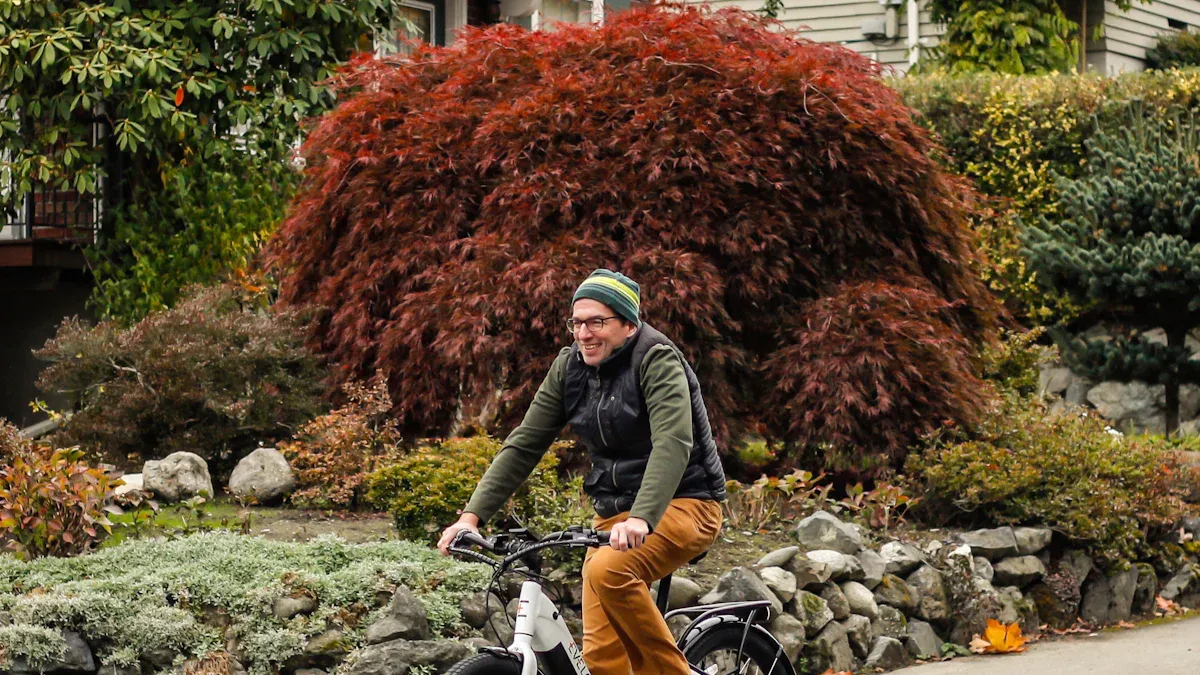 Leistung der eBike Bosch Systeme