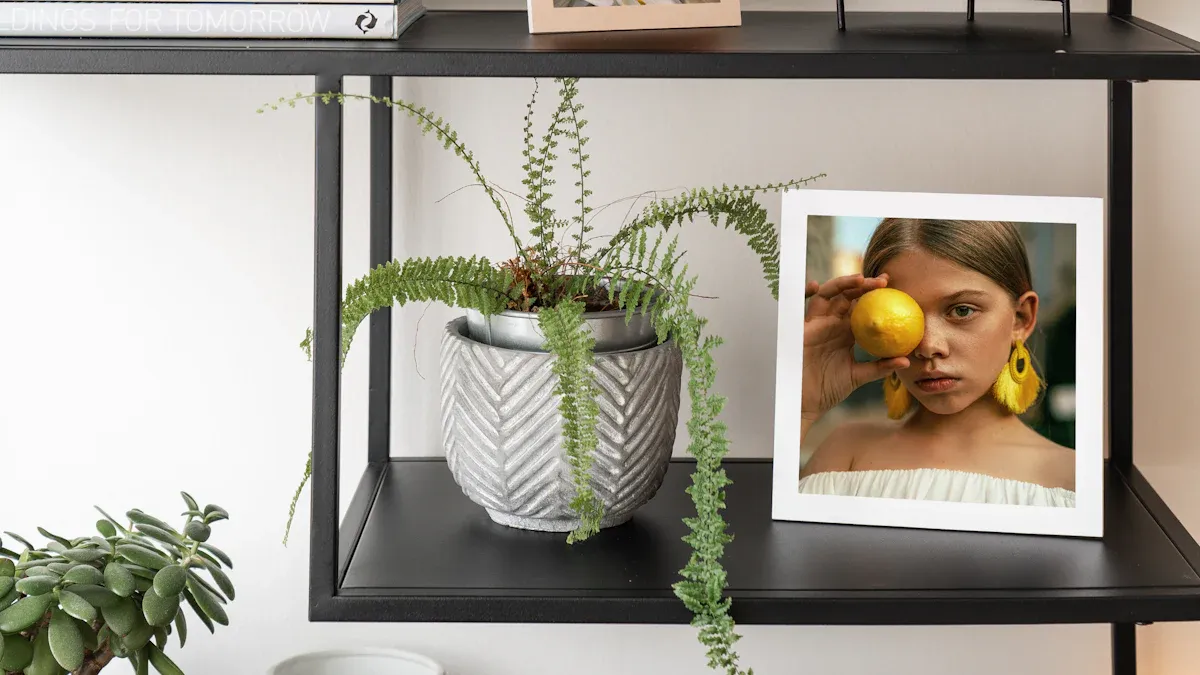 Styles of Light Box Frame