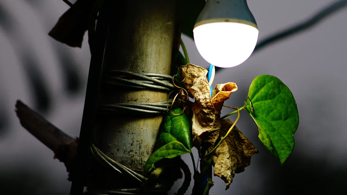 The Economic and Environmental Benefits of LED Lighting