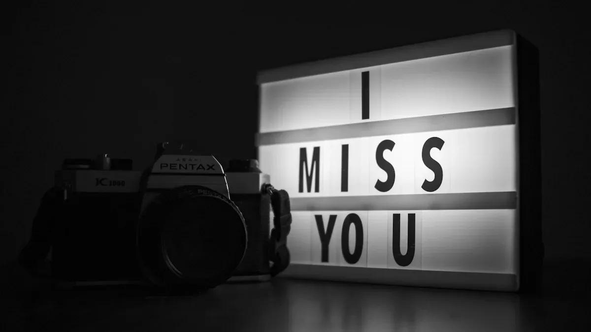 Photo Studio Light Box Picks