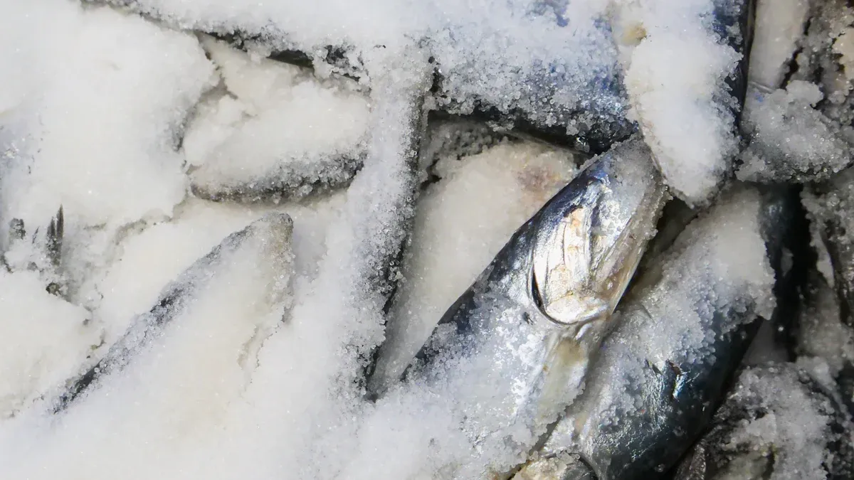 Mussel Freezing Process in Tunnel Freezers
