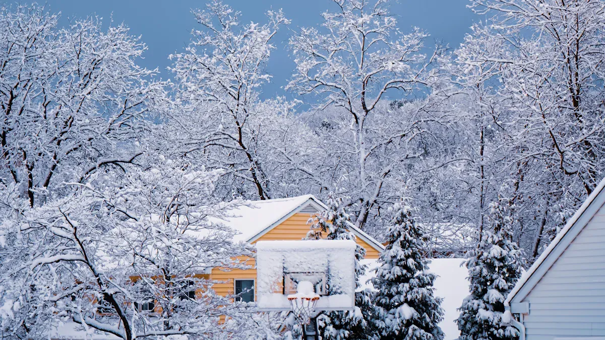 CO2 Cold Room Advantages