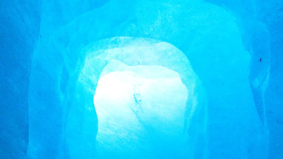 Seafood Tunnel Freezer: The Secret to Perfectly Frozen Seafood