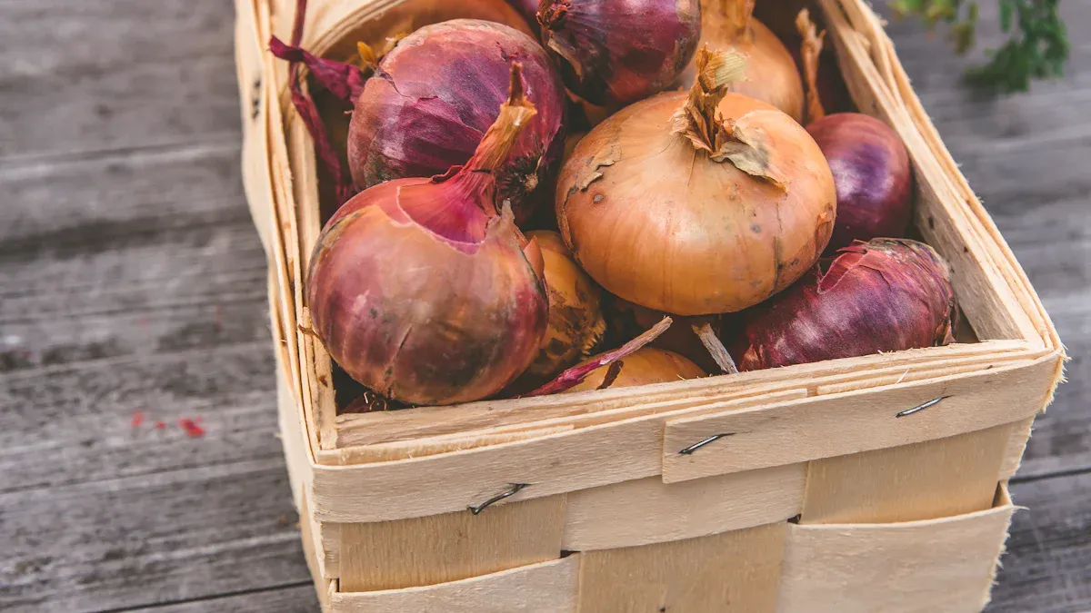 Storage Methods for Different Types of Onions