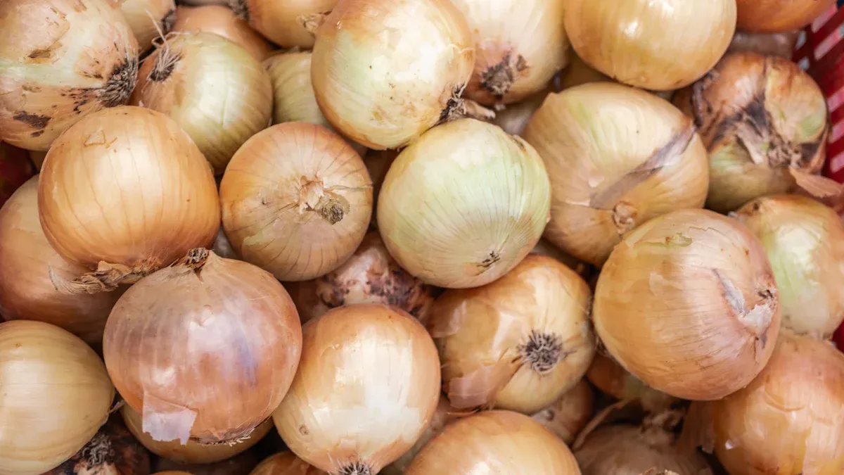 The Role of 洋葱冷藏库 in Onion Preservation