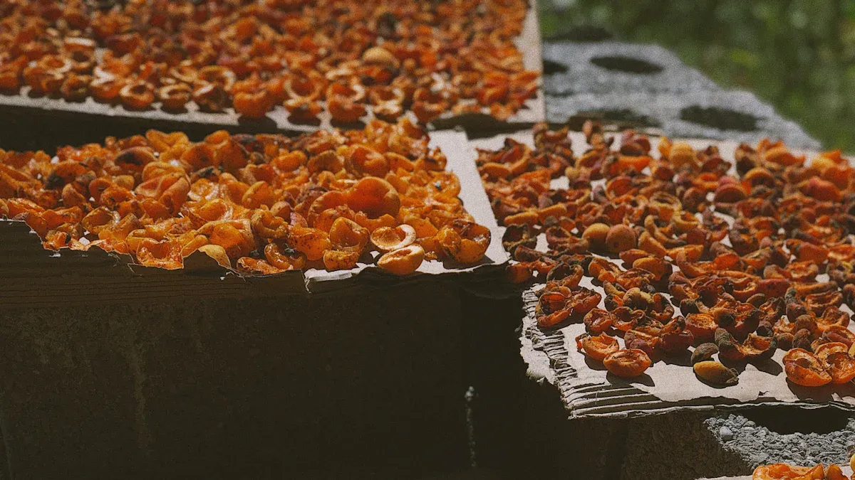 Freeze Dryer or Dehydrator Which Method Preserves Food Best