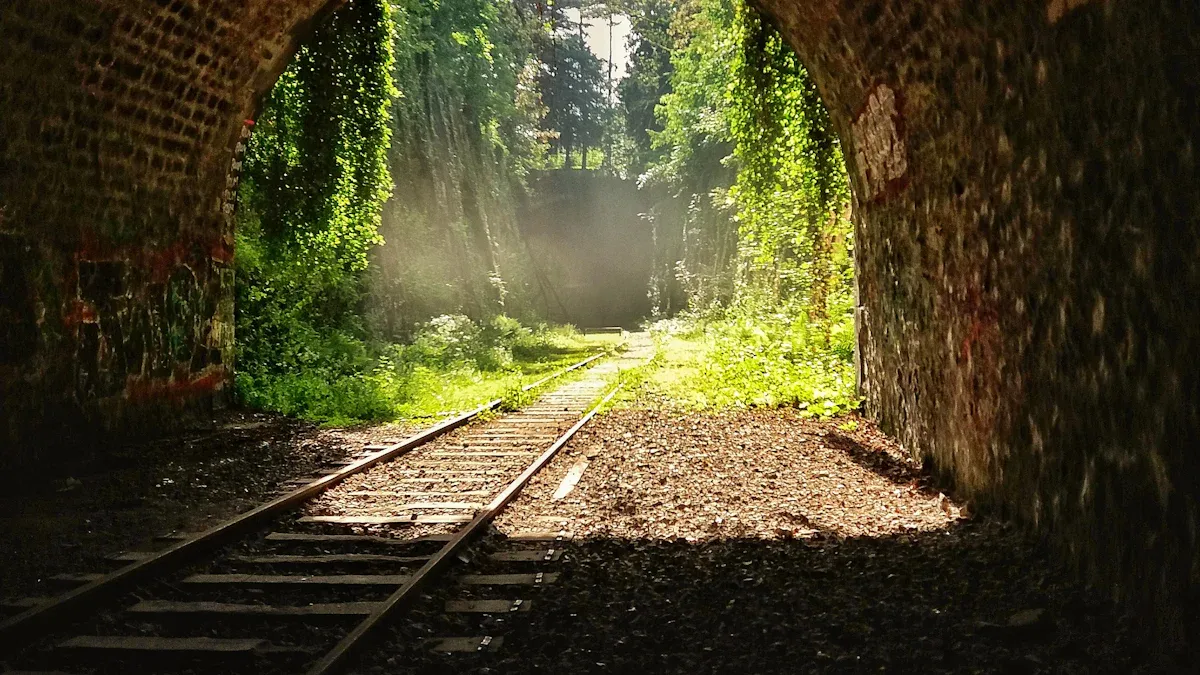 Tunnel Freezer Comparison