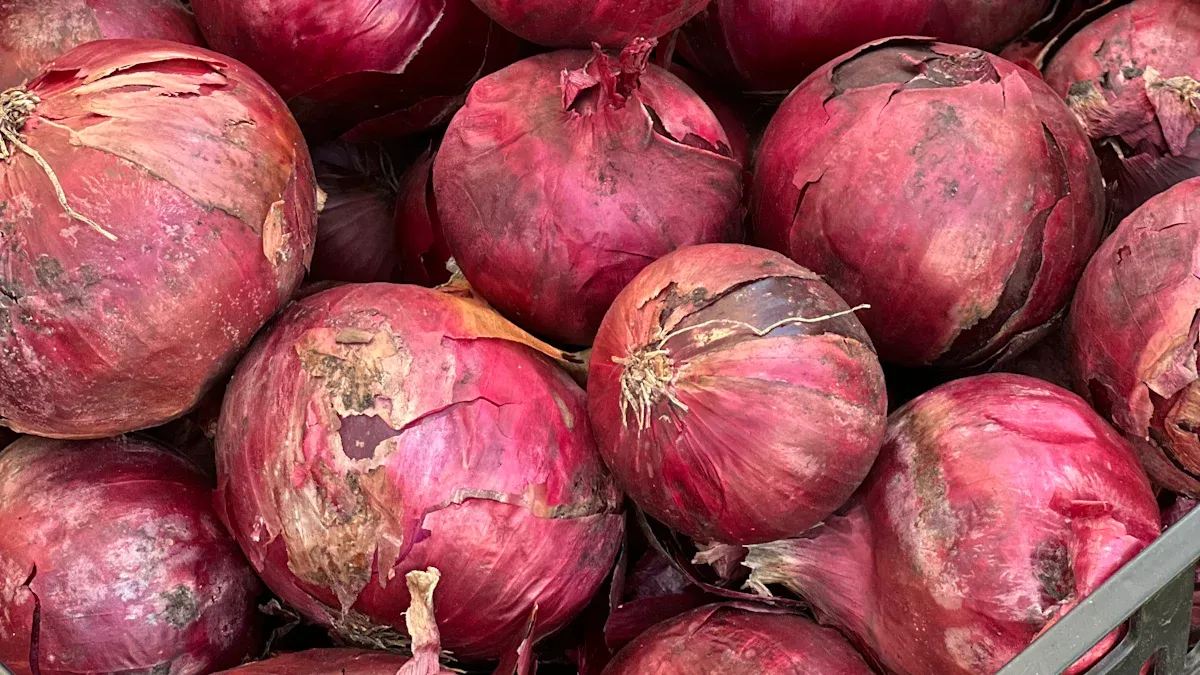 Latest Innovations in Onion Cold Storage for 2025