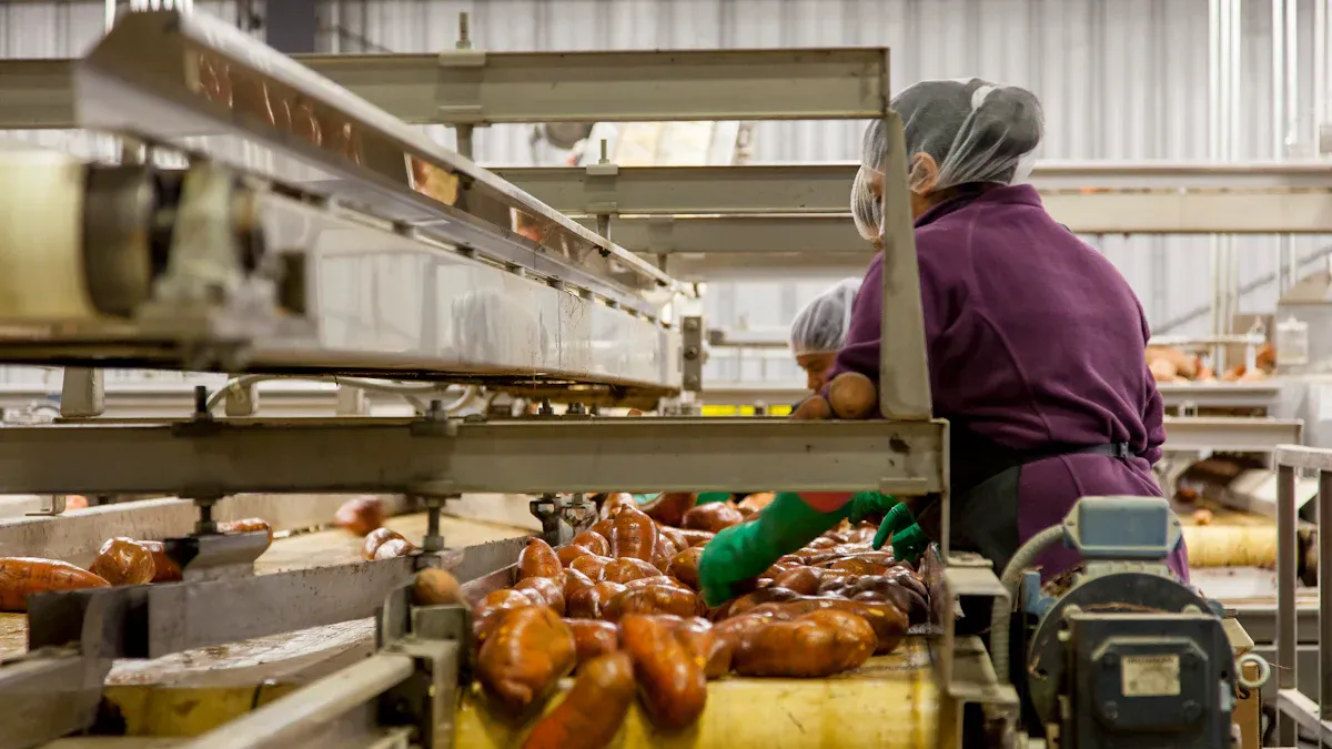 Preserving Food Quality with Individual Quick Freezing Technology