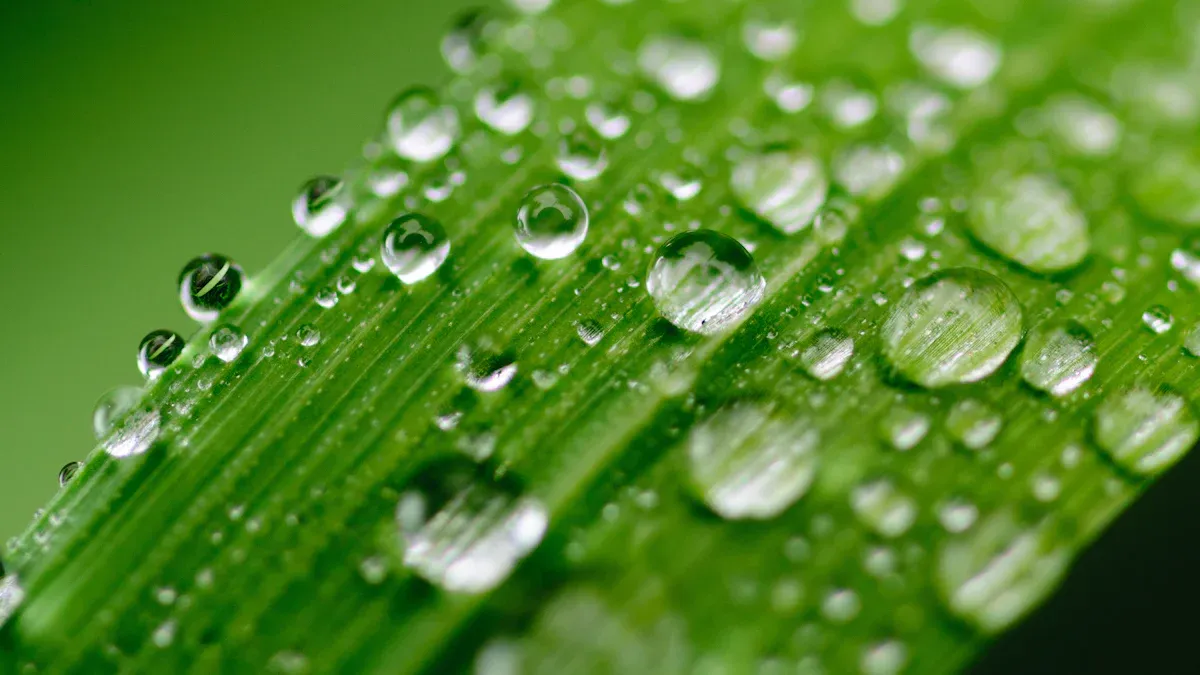 R290 Chiller Efficiency: A Greener Cooling Choice