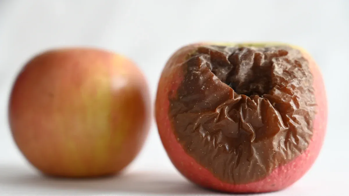 Date Spoilage Causes