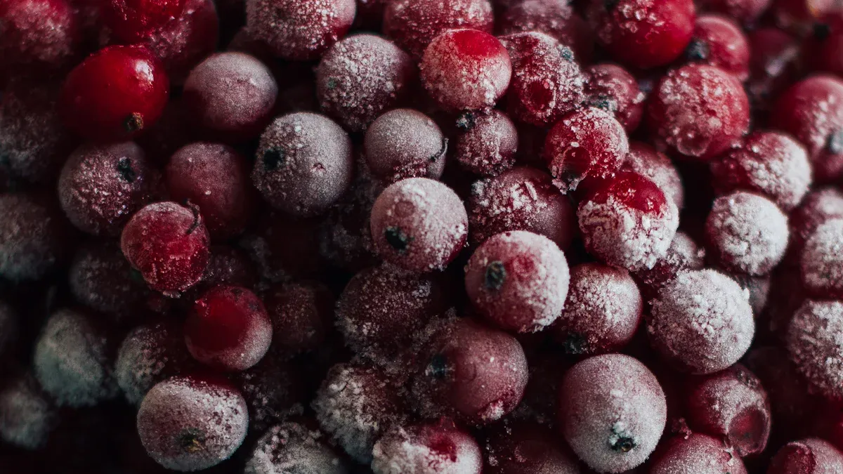 Fluidized Quick Freezer Success Stories in Fruit Lines