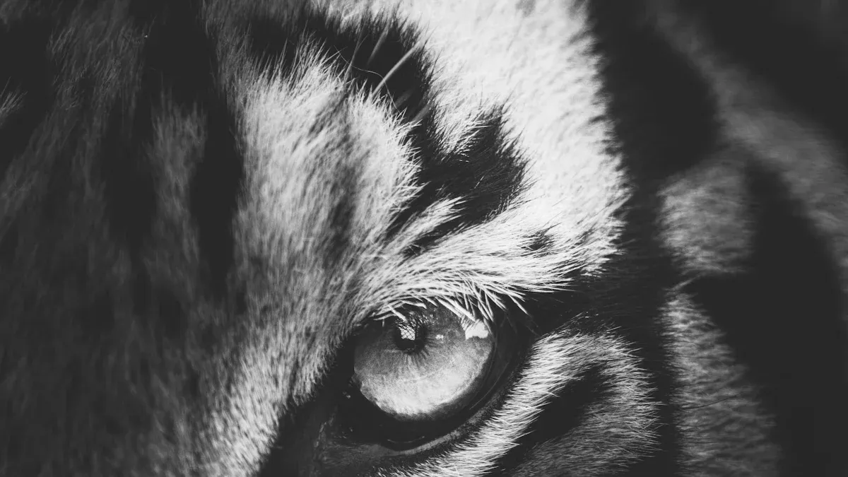Courage avec le Tigre'<!--nl--> style=