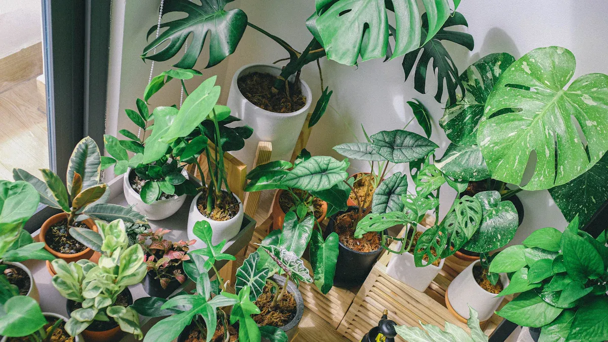 Die Feng Shui-Kraft der Pflanzen: Die Wahl der richtigen Pflanzen für Wohlstand und Reinigung in Ihrem Zuhause