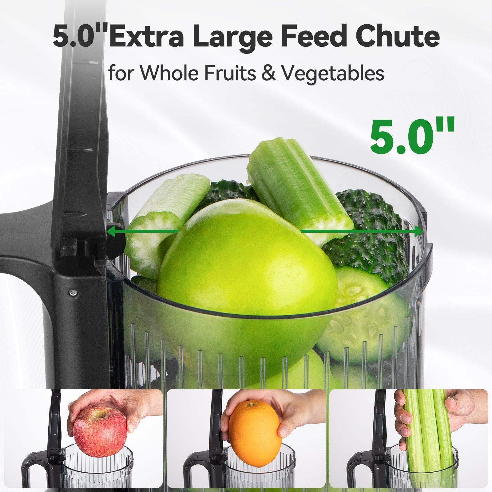 Overview of ORMEO Juicer Machines
