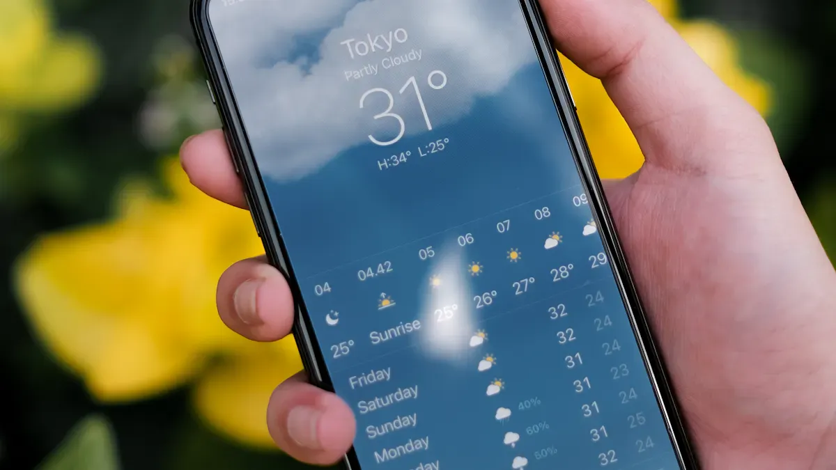 Phone Case Industry Forecast 2026