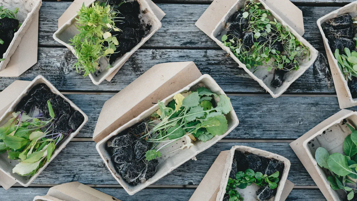 Eco-Friendly Materials