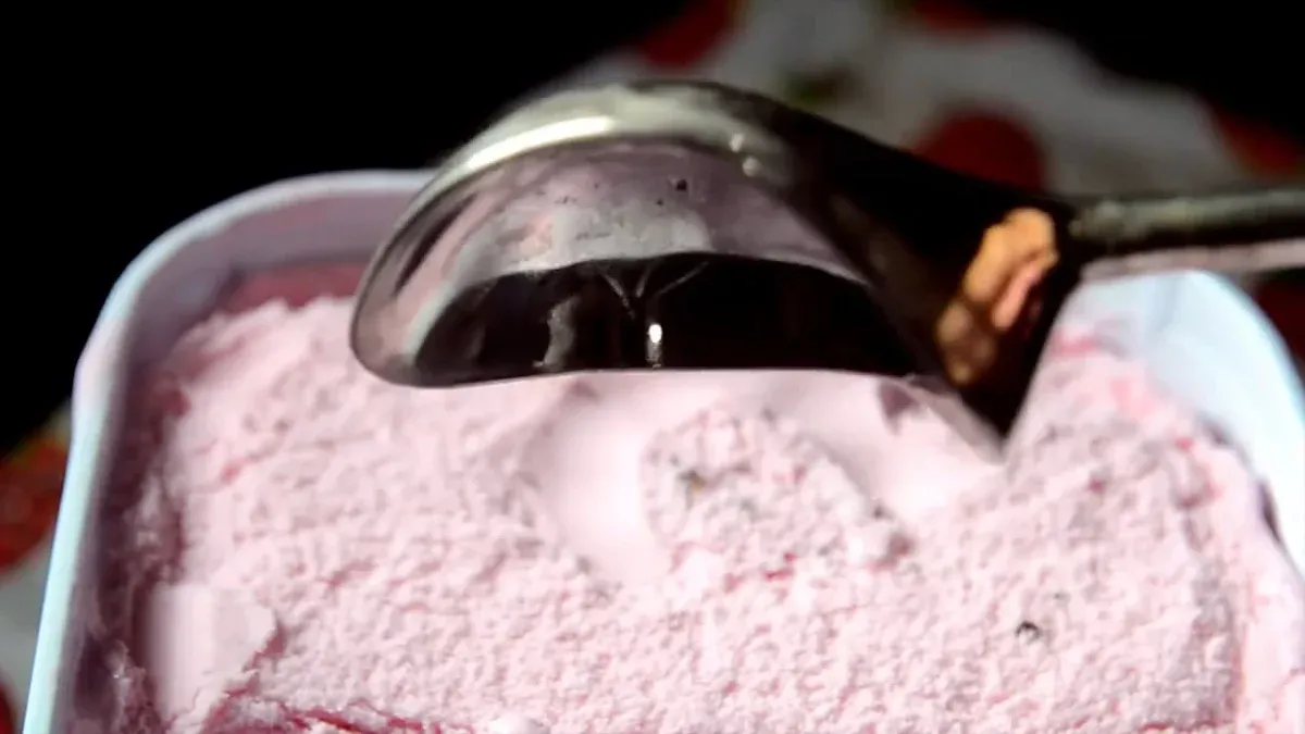 How to Make Frozen Fruit Ice Cream with the Ormeohome Juicer