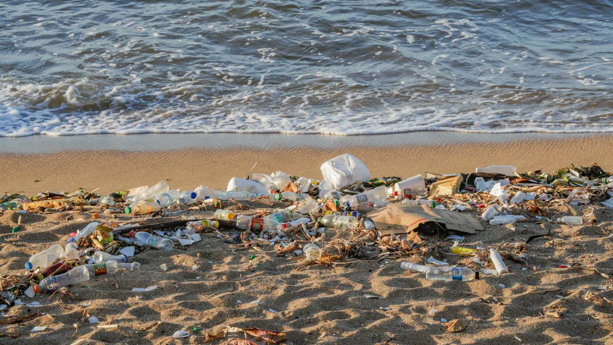 Environmental Impact