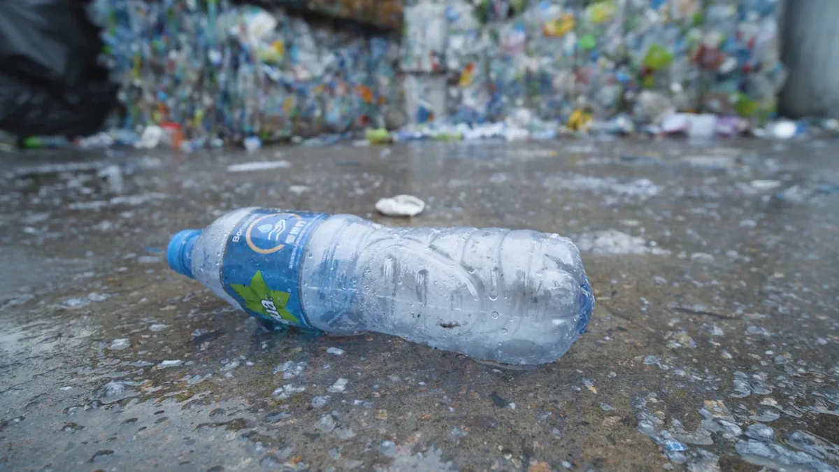 Environmental Impact