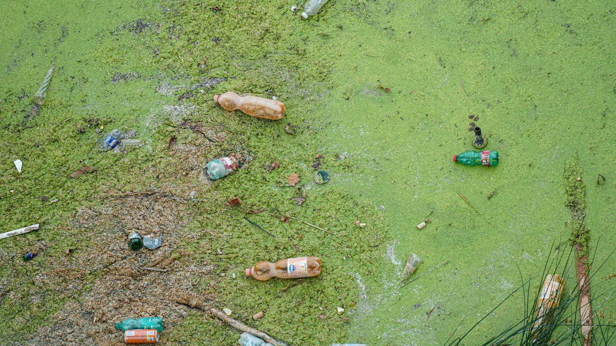 Environmental Impact