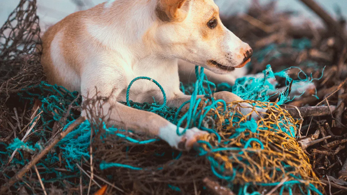 Properly Dispose of Dog Waste