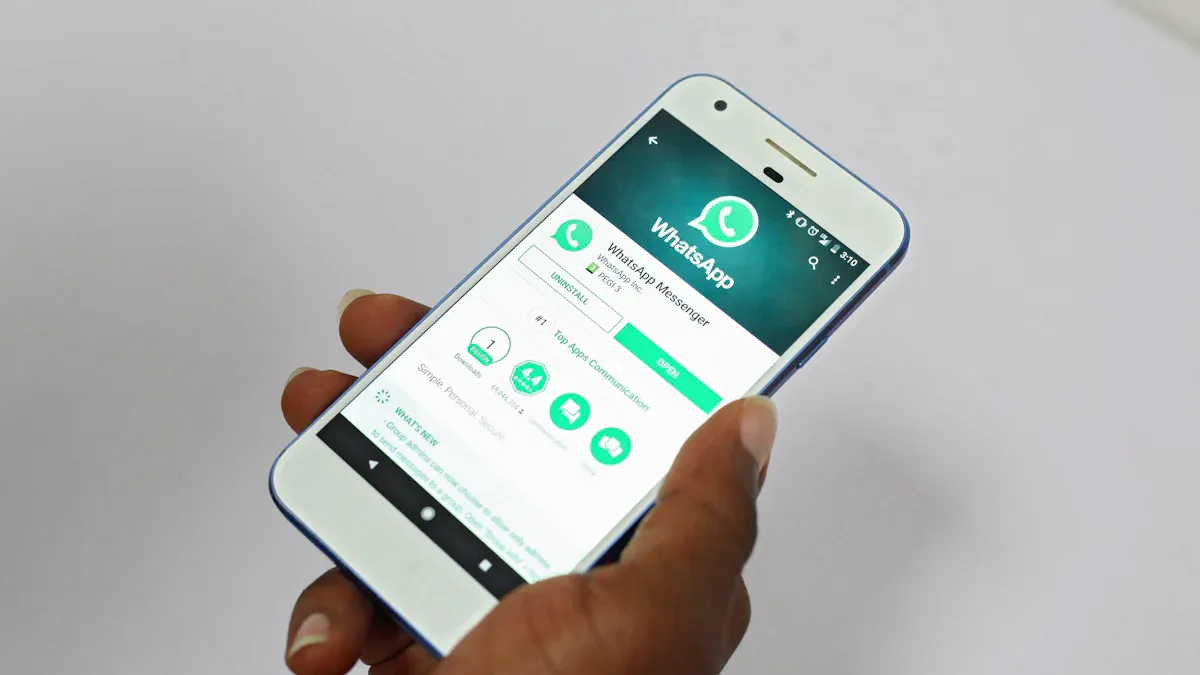 Send WhatsApp Messages from CSV
