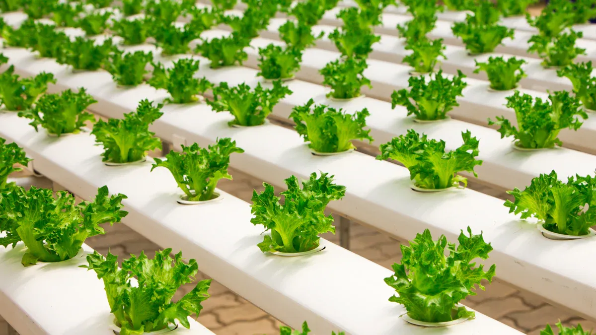Common Plastics for Agricultural Applications