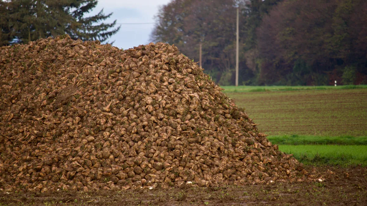 Key Applications in Biomass, Biogas & Waste-to-Energy