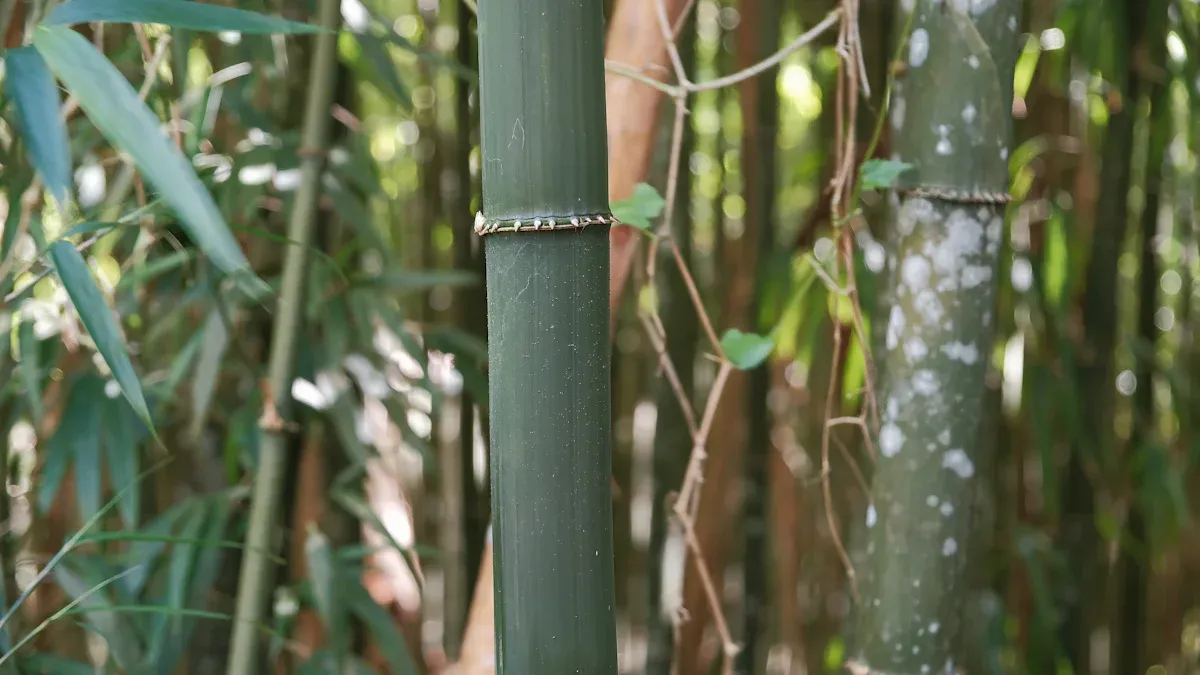 Titanium Alloy Applications in Wind Turbines